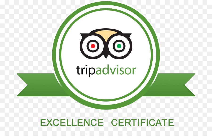 Logotipo Do Tripadvisor，Viagem PNG