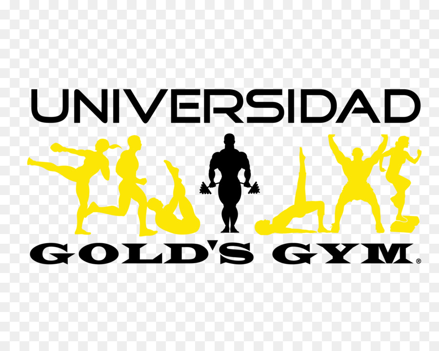 Gold Ginásio，Centro De Fitness PNG