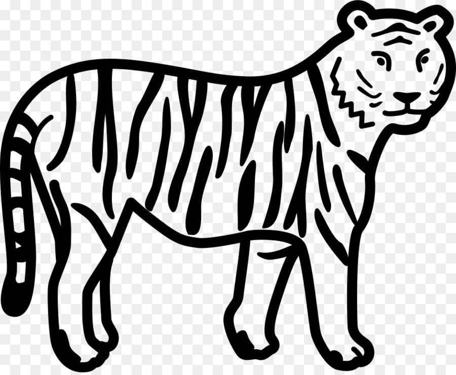 Livro De Colorir，O Tigre De Sumatra PNG