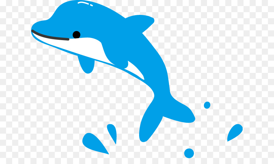 Dolphin，Hipopótamo PNG