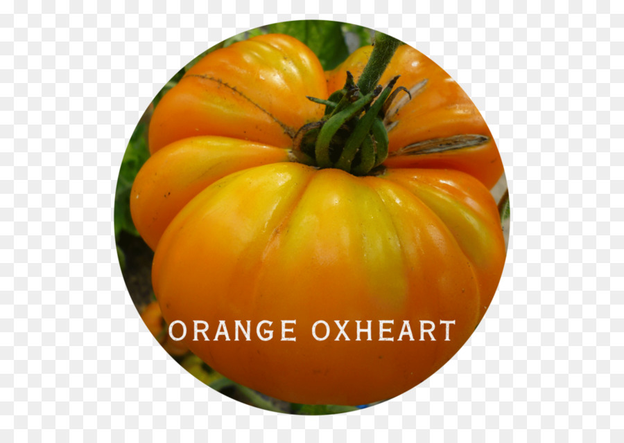 Tomate，Herança De Tomate PNG