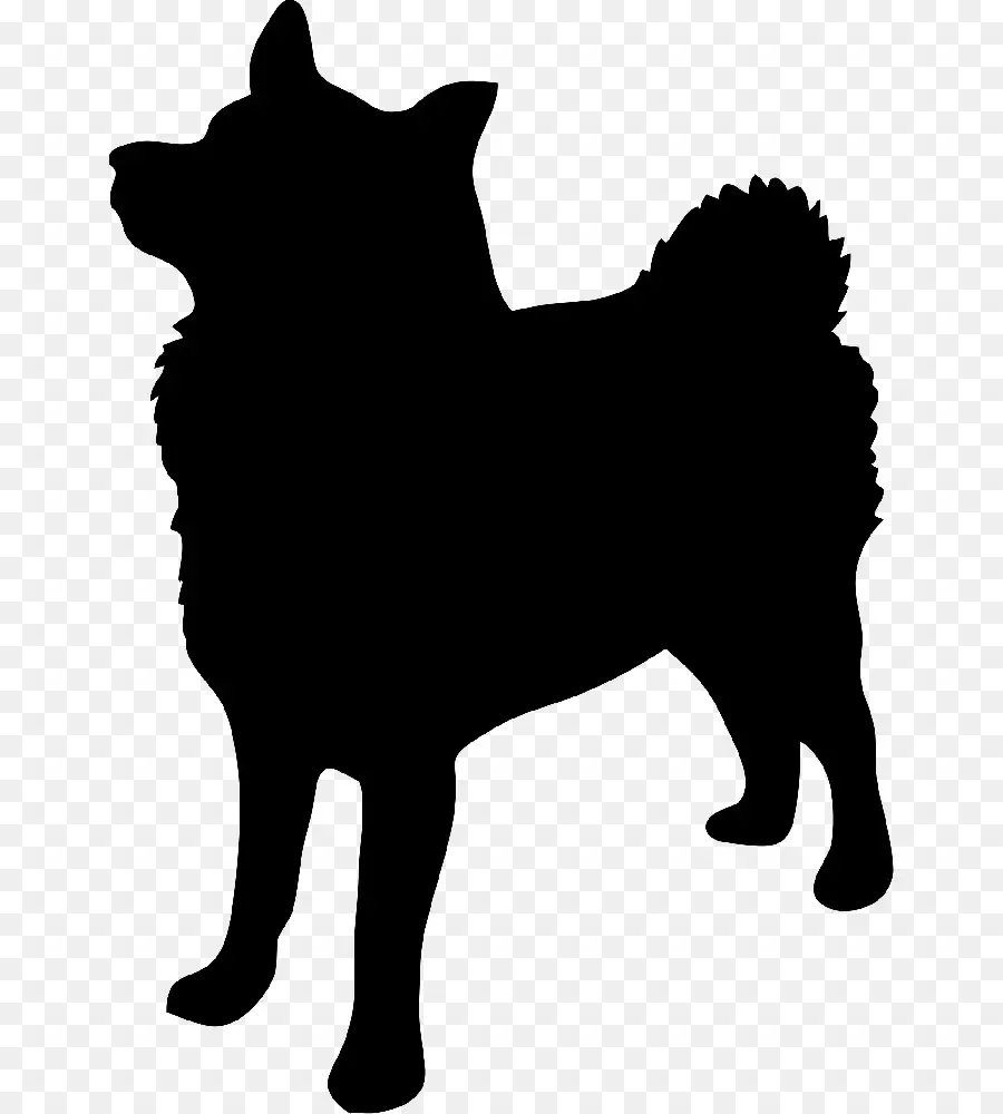 Filhote De Cachorro，Cachorro PNG