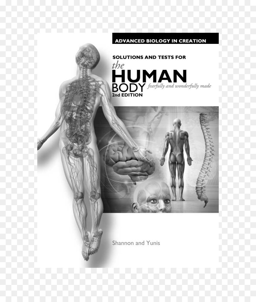 Explorando A Criação De Anatomia E Fisiologia Humana，Explorando A Criação De Biologia PNG