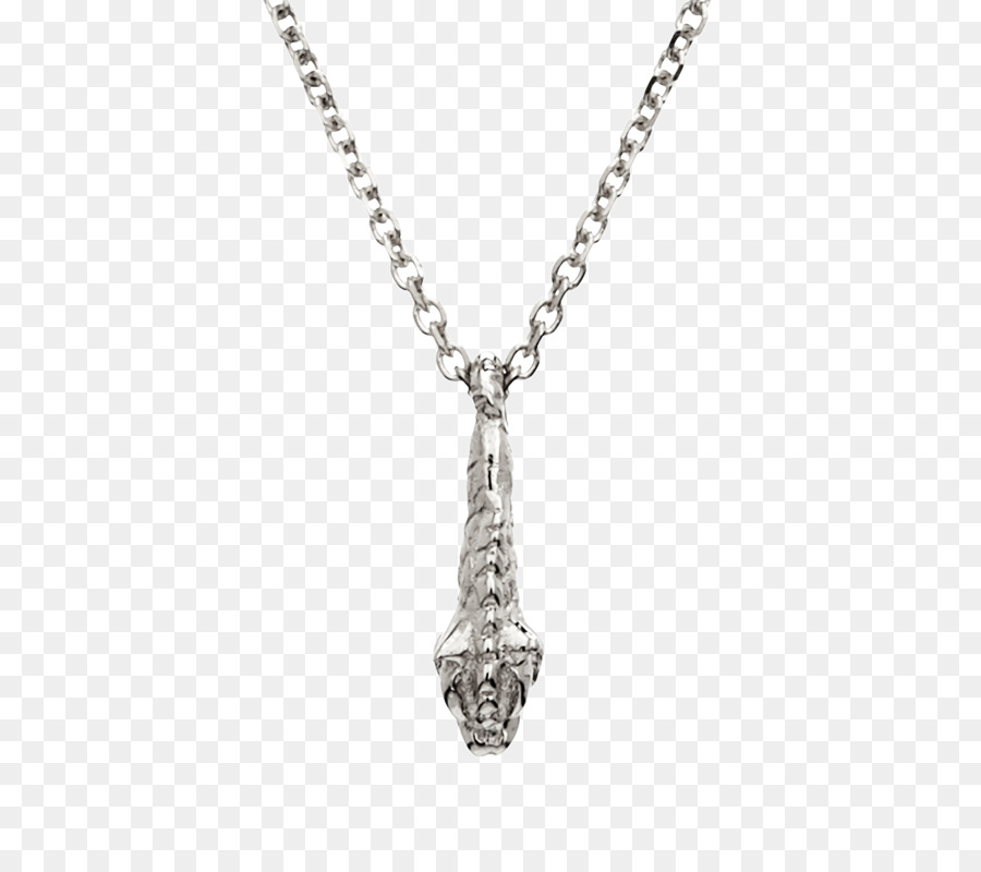 Encantos Pingentes，Necklace PNG