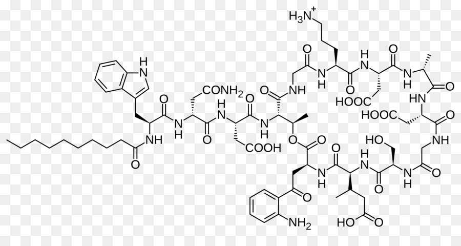 Daptomicina，Peptídeos Antimicrobianos PNG