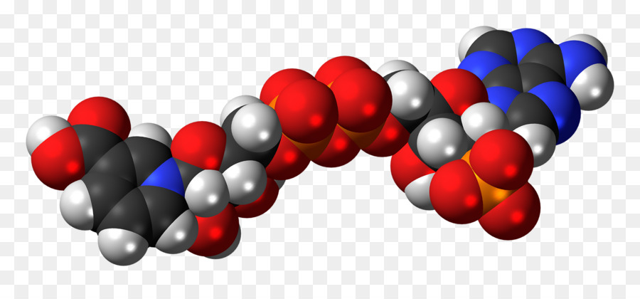 Molécula，Química PNG