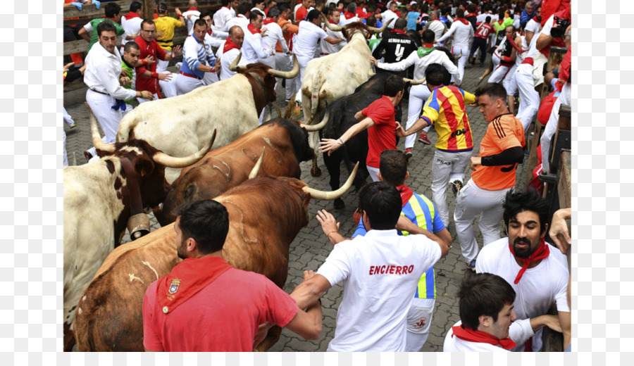 São Firmino，Pamplona PNG