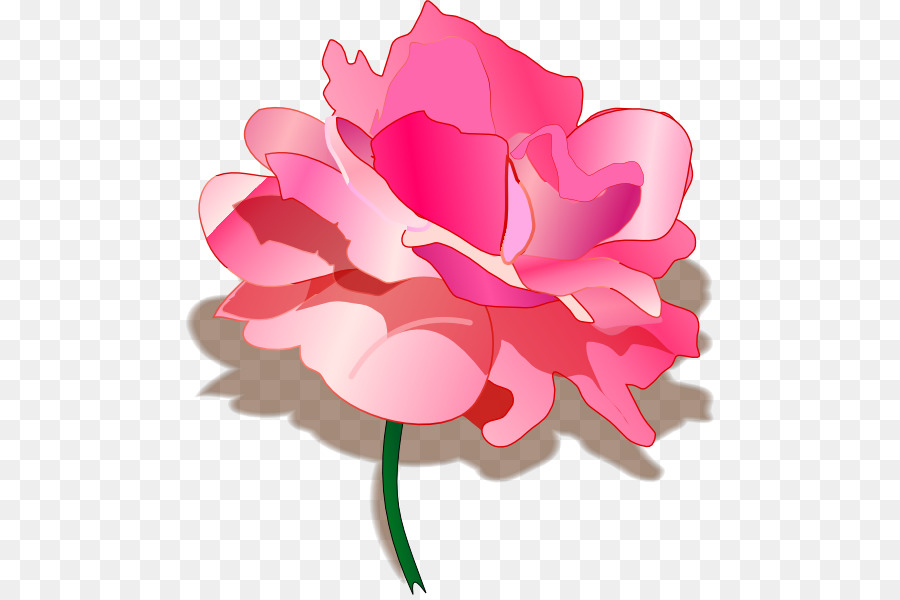 Rosa，ícones Do Computador PNG