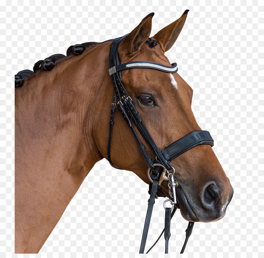 Cavalo，Equino PNG