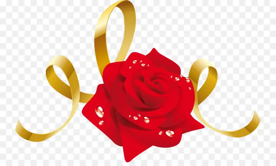 Rosa，Vermelho PNG