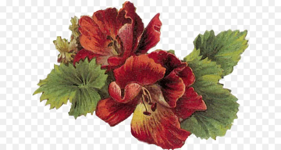 Flores Vermelhas，Folhas PNG