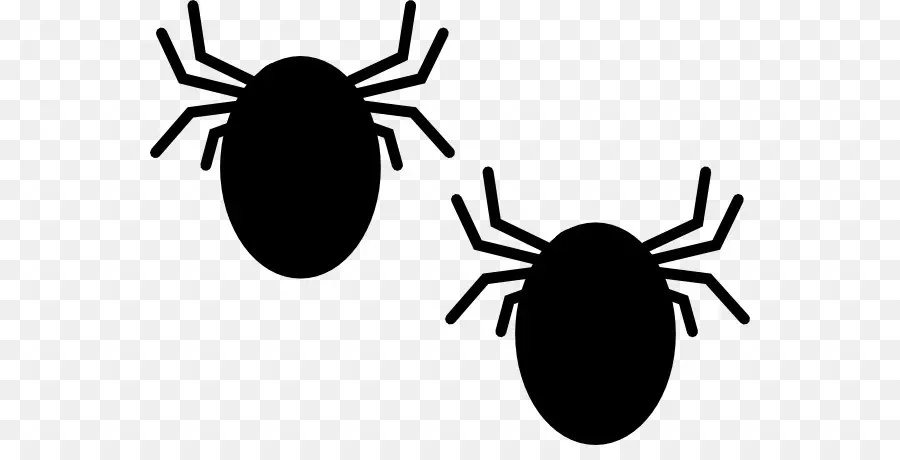 Tick，Deer Tick PNG