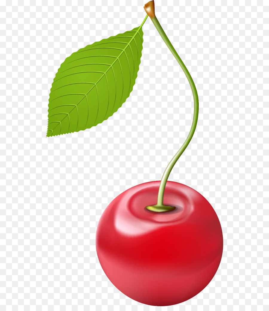 Cereja，Fruta PNG