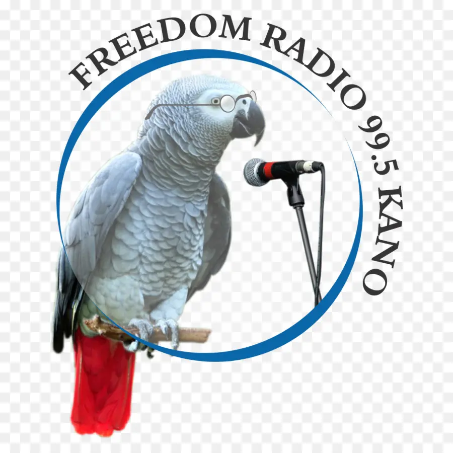 Rádio Na Internet，A Liberdade De Rádio Kano PNG