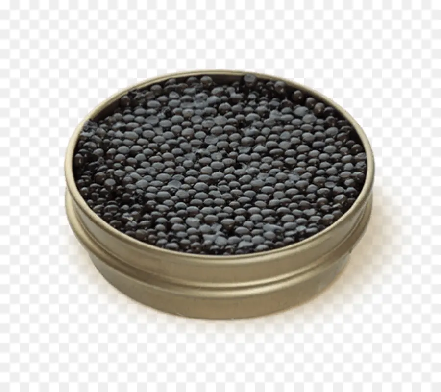 Caviar，O Esturjão Russo PNG