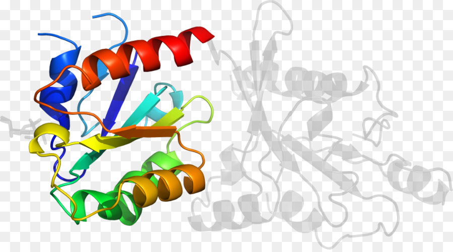 Hélice De Proteína，Molécula PNG