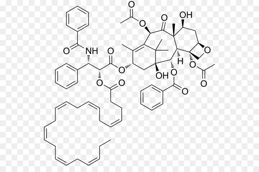 Estrutura Química，Molécula PNG