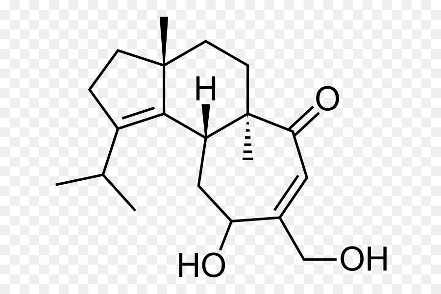 Estrutura Química，Molécula PNG