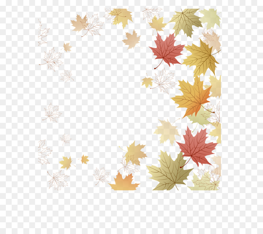 Papel，Maple Leaf PNG