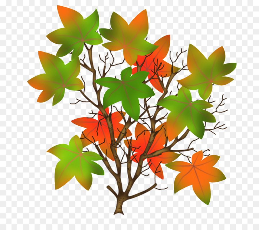 Maple Leaf，Folha PNG