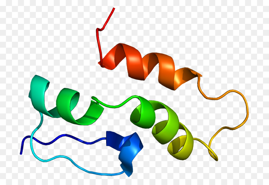 Hélice De Proteína，Molécula PNG