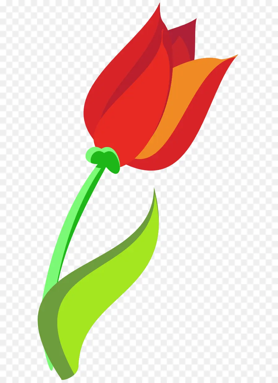 Tulipa Vermelha，Caule Verde PNG