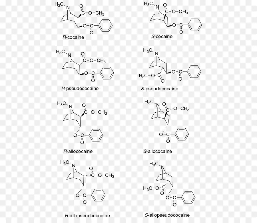 Moléculas De Cocaína，Estrutura PNG