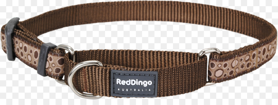 Cachorro，Dingo PNG