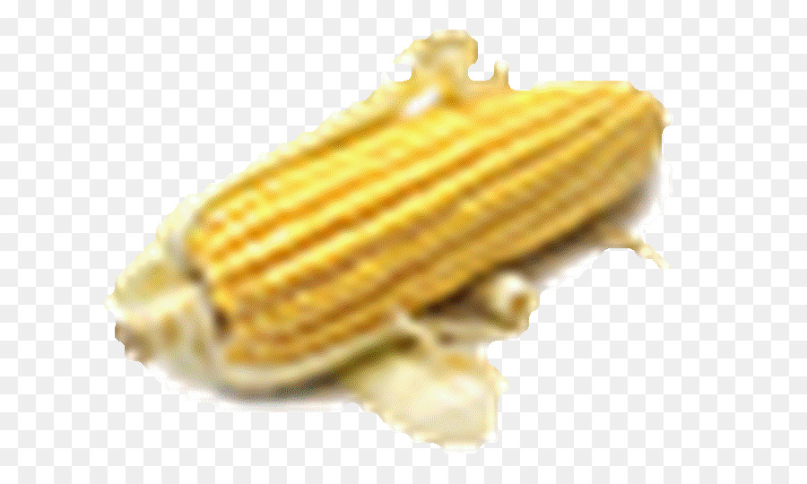 Maize，A Syngenta PNG
