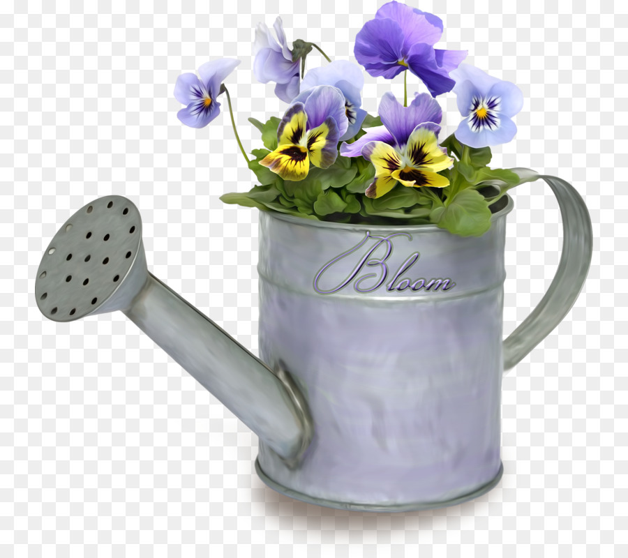 Regadores，Pansy PNG