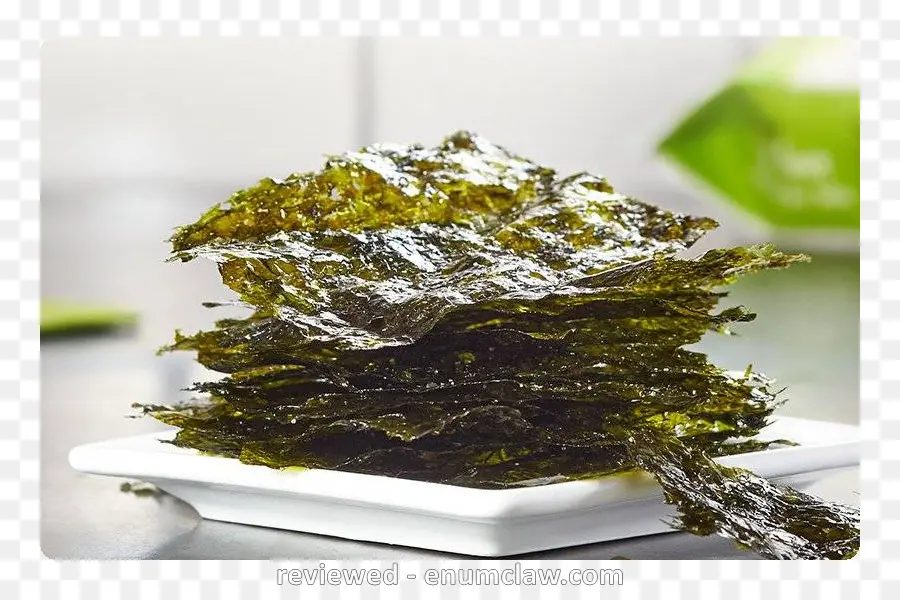 Alga，Lanche PNG