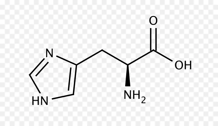 Estrutura Química，Molécula PNG