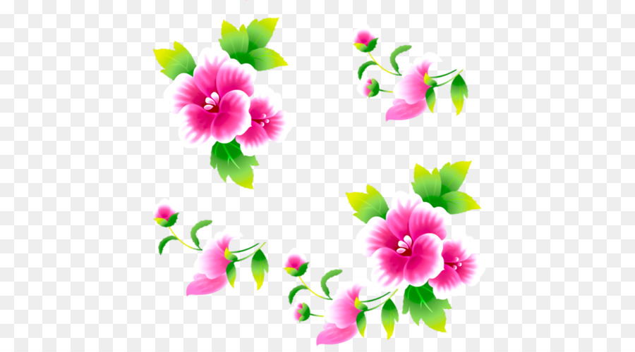 Rosemallows，Vídeo PNG