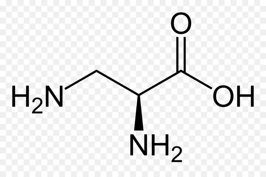Aminoácidos，ácido PNG