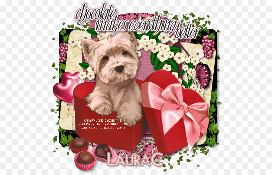 Yorkshire Terrier，Morkie PNG