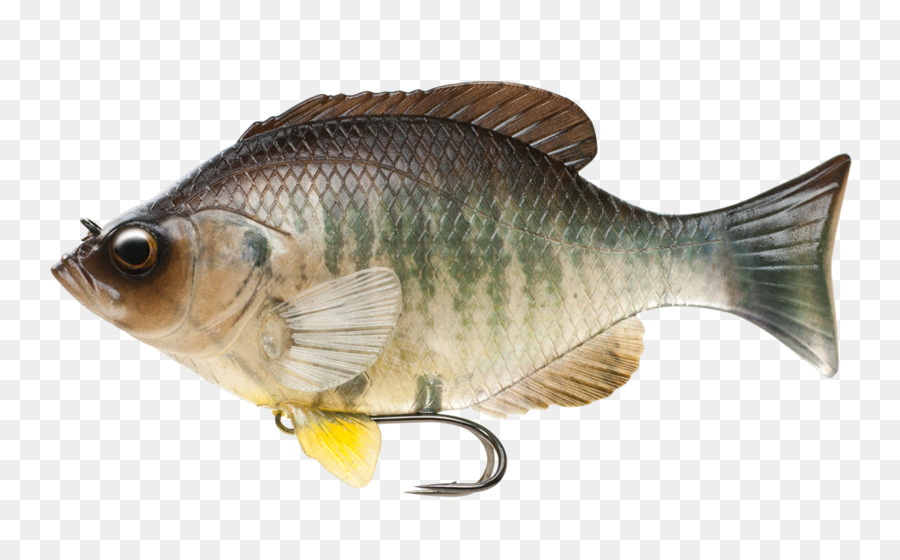 Isca De Peixe，Pesca PNG