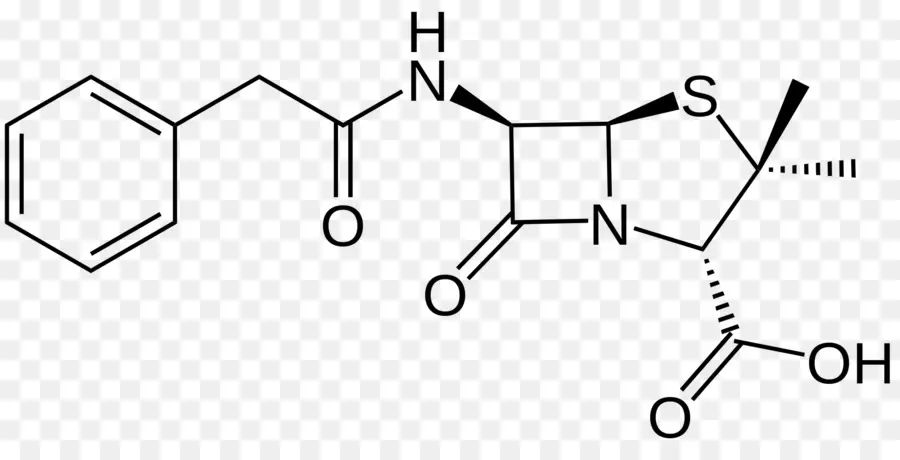 A Penicilina，Ampicillin PNG