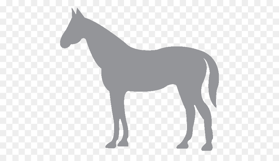 Cavalo，Cabra PNG