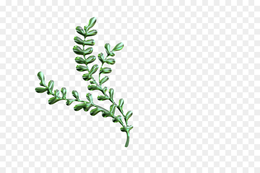 Folhas Verdes，Natureza PNG