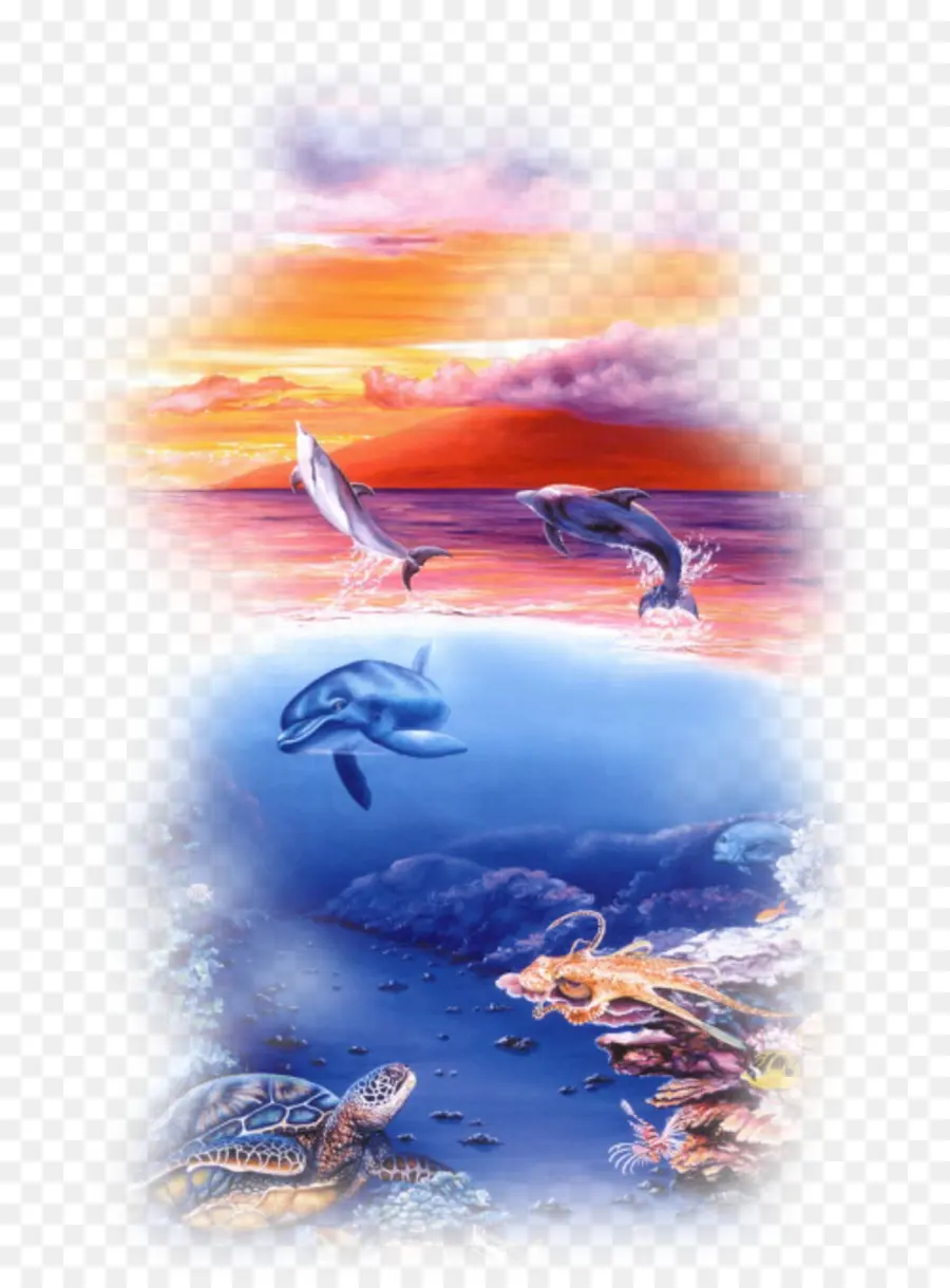 Dolphin，Golfinhos No Oceano PNG