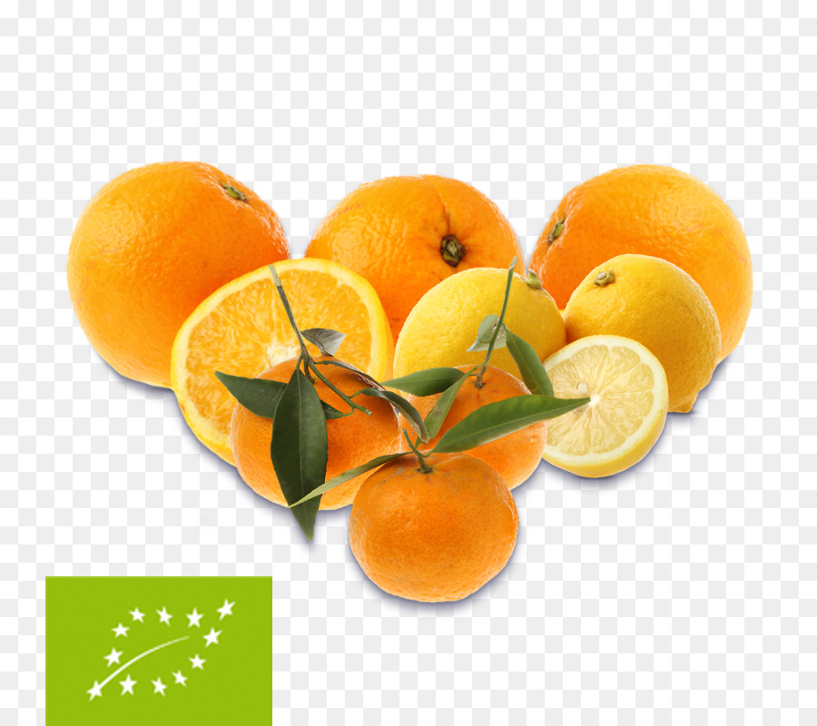 Frutas Cítricas，Laranjas PNG