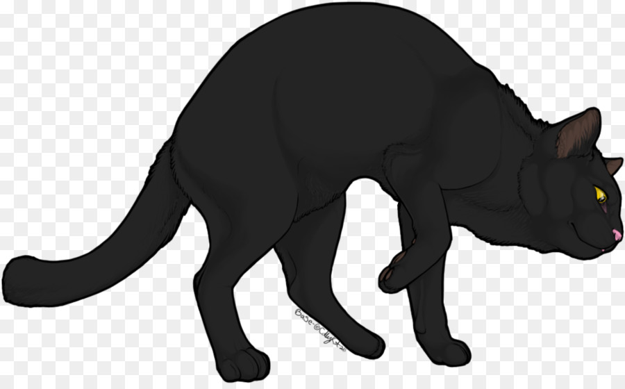 Gato Preto，Bicho De Estimação PNG