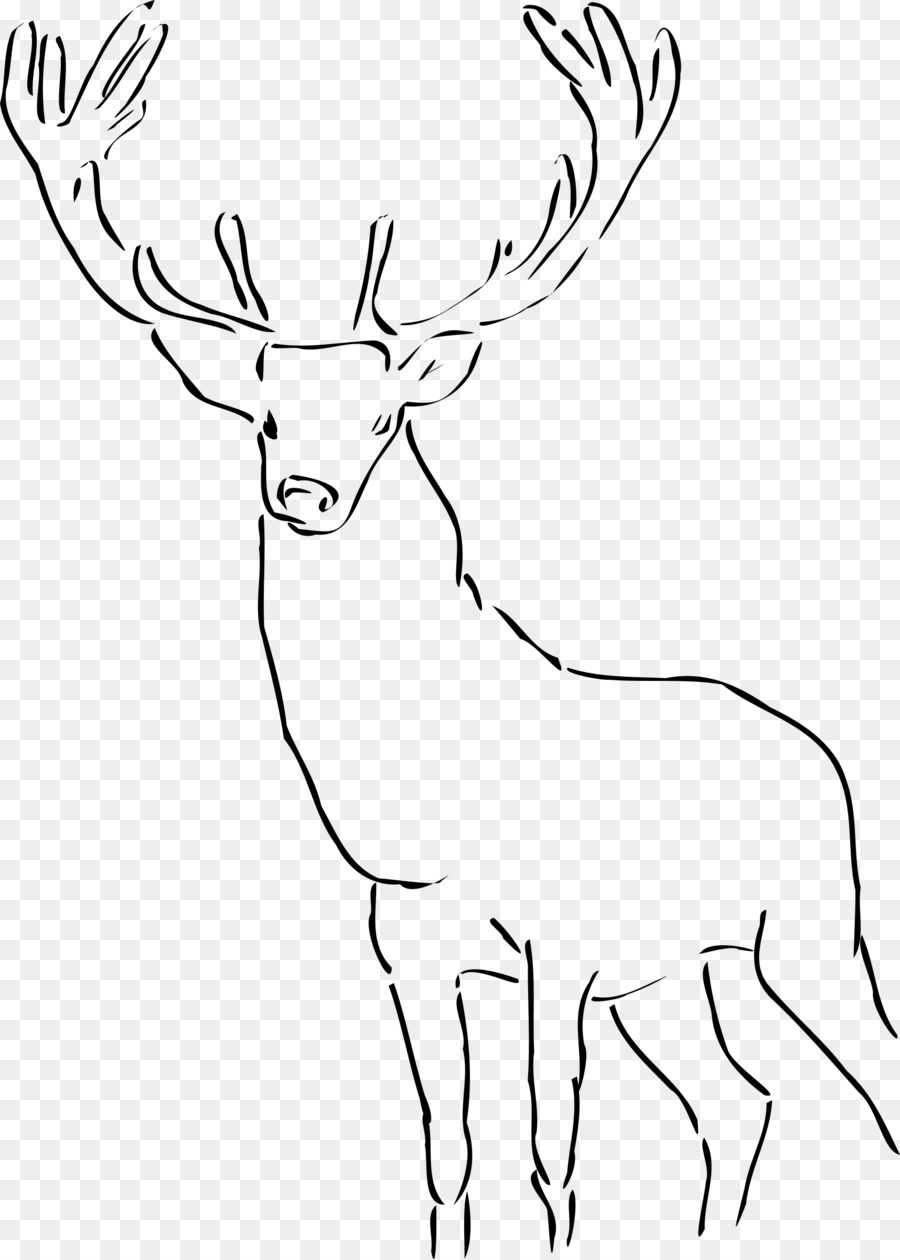 Deer，Desenho PNG