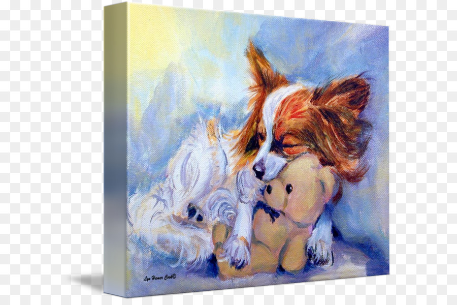 Papillon Cão，Pintura PNG