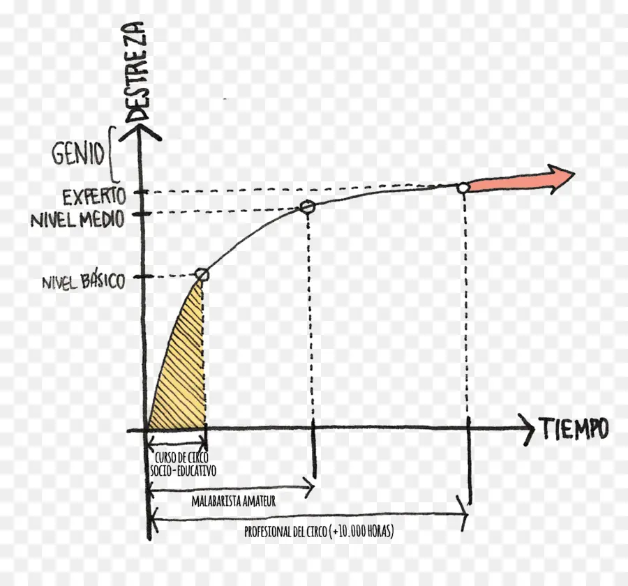 Gráfico De Habilidade，Gráfico PNG