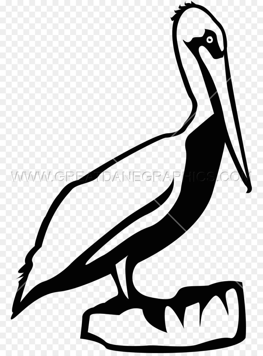 Pelicano，Camiseta Impressa PNG