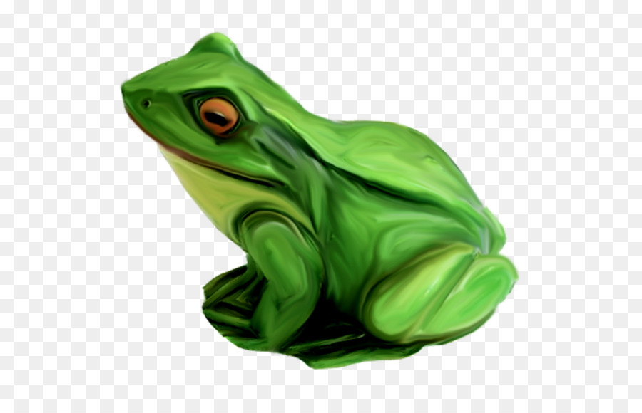 Verdadeiro Sapo，Sapo PNG