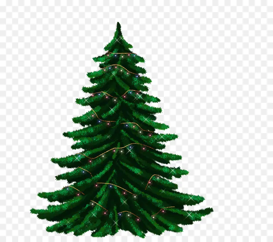 árvore De Natal，Fir PNG