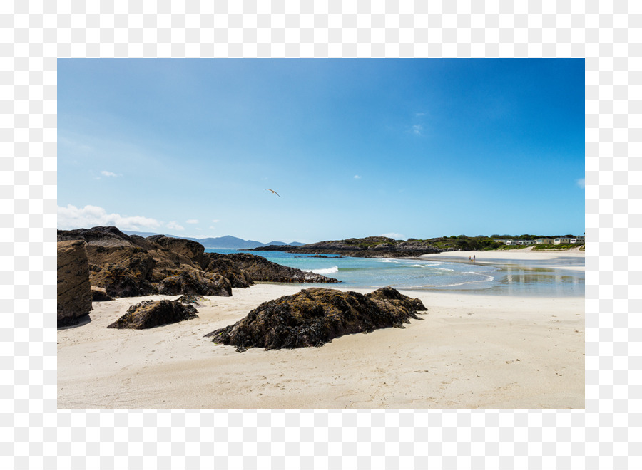 O Carroll S Cove Beach Bar Restaurante，Praia PNG