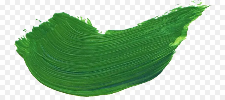 Verde，Paintbrush PNG